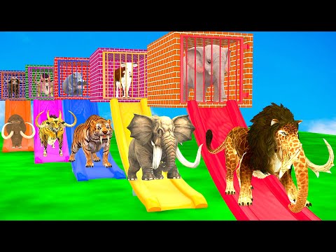 Long Slide Game With Elephant Gorilla Buffalo Hippopotamus Tiger 3d Animal Game Funny 3d Animals