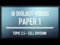 Cell Cycle Phases and Functions