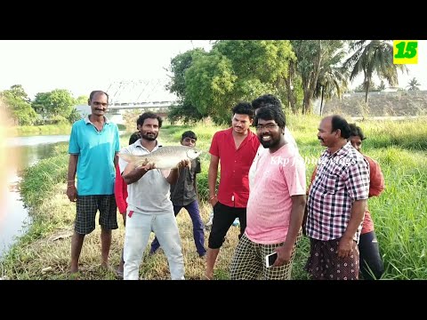 fishing bait for godavari river | kkp fishing vlogs