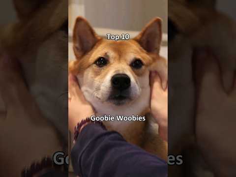 Top 10 Goobie Woobies (very scary😱) #dog #shiba