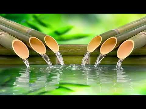 Relaxing Music 24/7, Sleep Music, Stress Relief Music, Zen, Meditation Music, Study Music, Spa