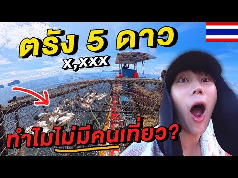 3 วัน 2 คืน อันซีนตรัง! เกาะสุกรไม่มีหมู แต่มีแคมป์ 5 ดาวโคตรดี! 🇹🇭