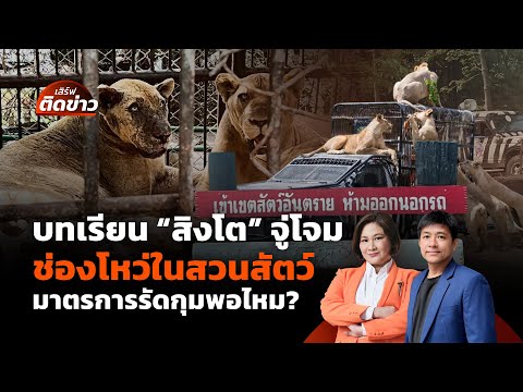 "สิงโต" จู่โจม จนท.กับช่องโหว่ในสวนสัตว์นักท่องเที่ยวปลอดภัยไหม? | เสิร์ฟติดข่าว | 12 ก.ย.68