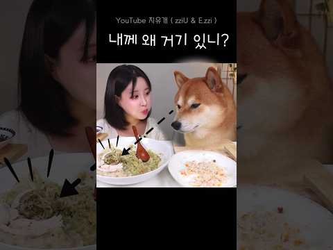 닭고기 도둑