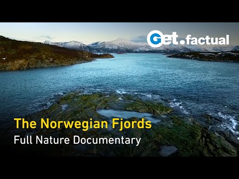 YouTube video thumbnail: The Norwegian Fjords - Life in the Twilight