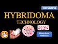 Monoclonal Antibodies Production Process