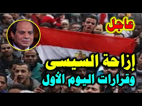 إزاحة السيسي عن سدة الحكم وقرارات اليوم الأول .. حلم الدكتور سعيد عفيفي هل يتحقق؟