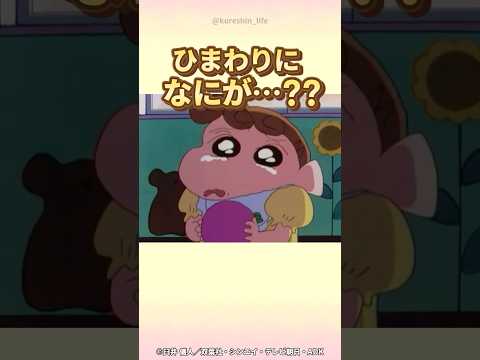 【感動】ひまわりに何が…？『母ちゃんのパートは大変だゾ』　#クレヨンしんちゃん #感動する話 #野原みさえ