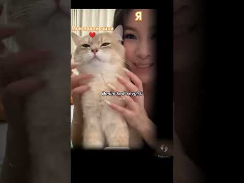 да да #а_к_т_и_в #мем #вреки #1rem