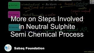 More on Steps Involved in Neutral Sulphite Semi Chemical Process
