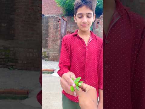 नाली का फूल 😱🤯~working art skillwood/ hand crafts / #shorts  #shortsfeed #trending #new
