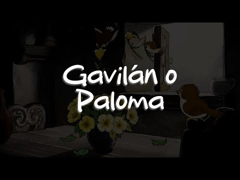 José José - Gavilán o Paloma (Letra)