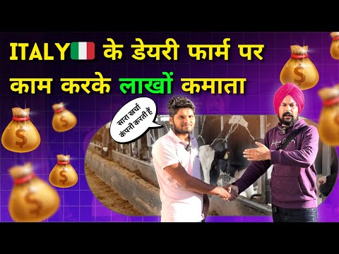 Italy🇮🇹 में डायरी फॉर्म में जॉब करके कामये लाखो🤑 | Earn millions by working in diary form in Italy