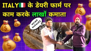 Italy🇮🇹 में डायरी फॉर्म में जॉब करके कामये लाखो🤑 | Earn millions by working in diary form in Italy