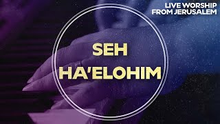 Seh Ha'Elohim (Lamb of God) | Worship from Jerusalem