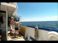 Understanding the Gulf of Mexico's Dead Zone
