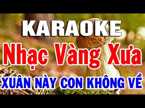 Karaoke Nhạc Sống Hòa Tấu Bolero Trữ Tình Hải Ngoại | Liên Khúc Xuân Này Con Không Về | Trọng Hiếu