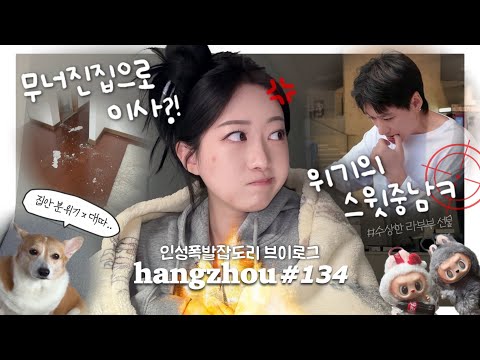 항저우 브이로그 134ㅣ한중커플ㅣ🚨여씨네 예민주의보 일상 (ft.이사문제+생리콜라보)ㅣ중국에서 집 구하기🏠ㅣ라부부 스페셜?! 여루의 레전드 썩프라이즈💦
