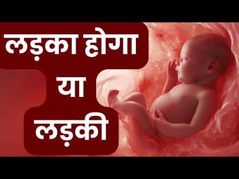 लड़का होगा या लड़की, जानिए कैसे तय होता है [Will it be Baby boy or Girl] | Baby Gender Prediction