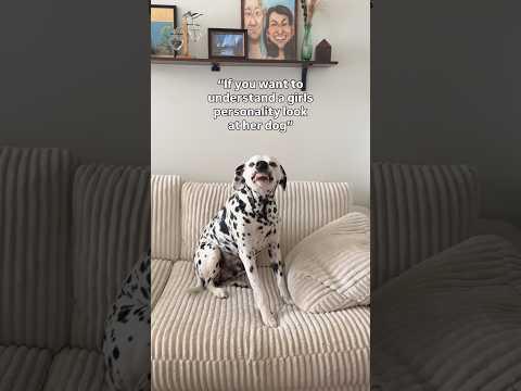 So many moods ๐
#dogshorts #doglife #funny #dogvideos