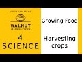 Grain Storage and Food Preservation