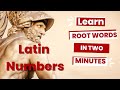 Exploring Latin Number Roots and Their Vocabulary