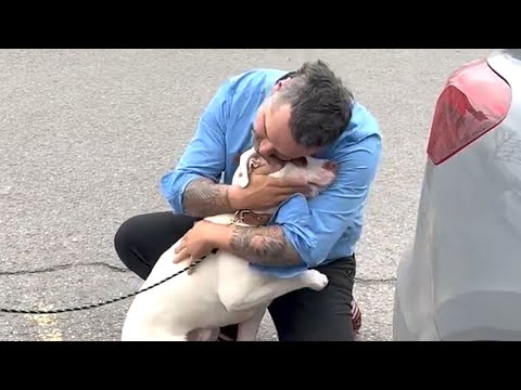 Man learns his adopted dog is someone else's. His response is perfect.