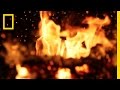 Fire Safety and Escape Strategies