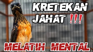Asah mental!! KRETEKAN DAN SIULAN TROTOL JAHAT PEMBANGKIT EMOSI 