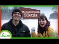 Geology of Silesia and Olympic Peninsula
