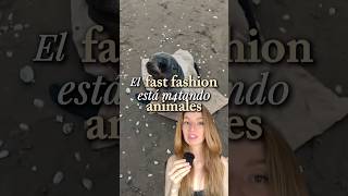 El fast fashion está m4tand0 animales ❌ #fastfashion #animalesmarinos #modaconsciente