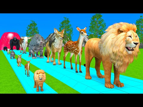 Paint & Animals Cow,Gorilla,Elephant,Giraffe,Tiger,Lion, Fountain Crossing Transformation Cartoon