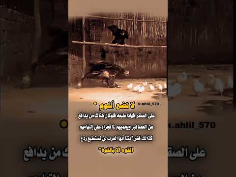 لاتضع اللوم على الصقر فهادا طبعه ...الخ #حالات_وتساب #ستوريات_حزينه