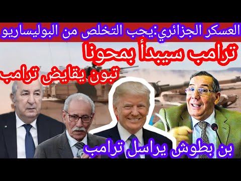 تبنديرة دايزها لكلام،تبون يقايض ترامب،تبون يجب التخلي عن البوليساريو ترامب سينهينا#العسكر#الجيش