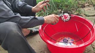 How to make mouse trap with plastic easy | good rat trap