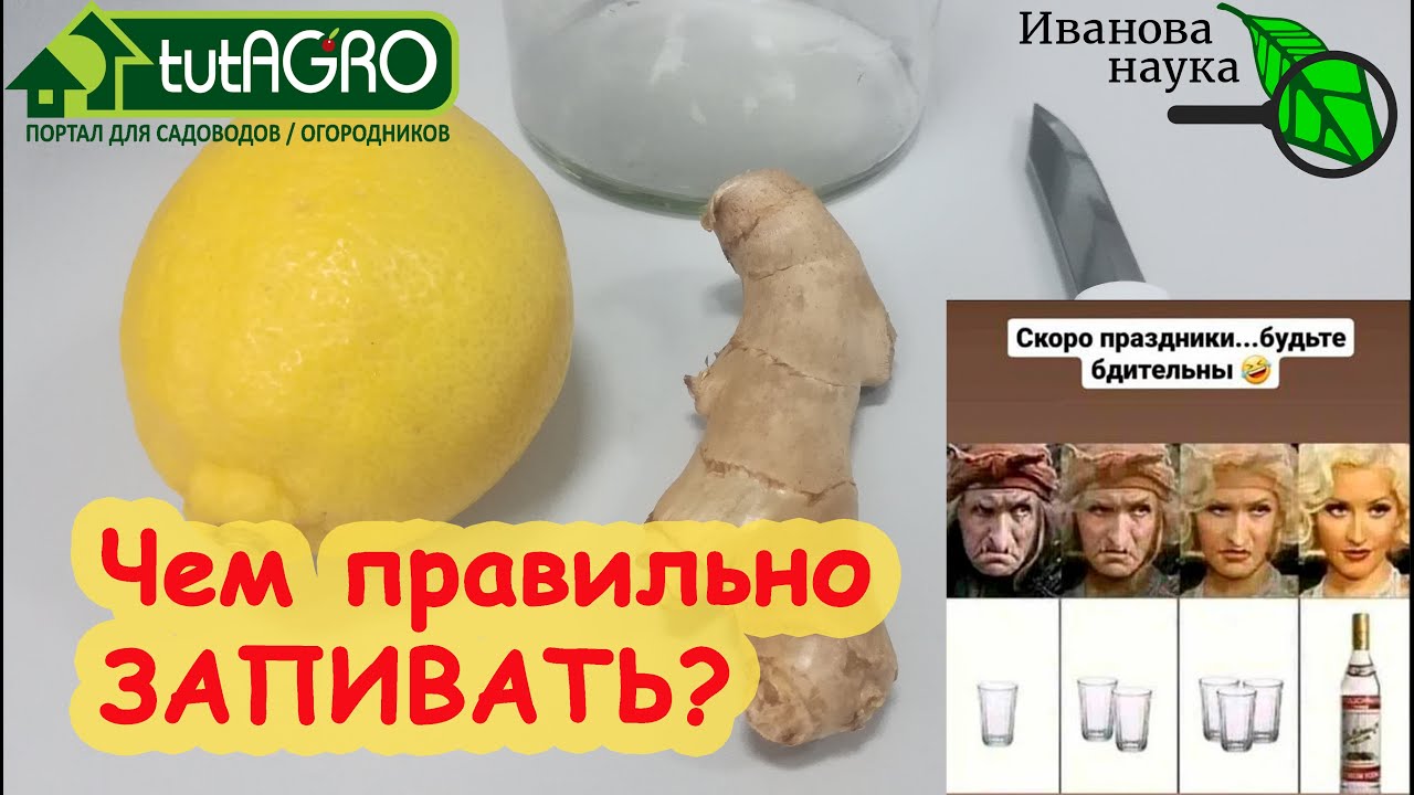 Водочка, селедочка. Запиваем и лечимся по науке! Чем запивать и что пить, чтобы на утро не болеть.