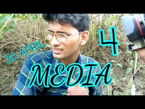 MEDIA 4 | PINCE |