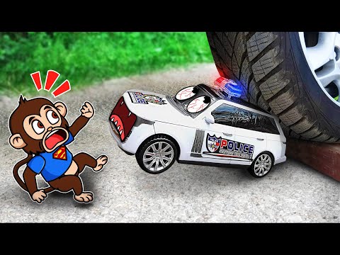 The Crush Experiment: SpongeBob Meets a Monkey! 🚗💥