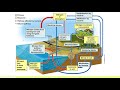 Understanding the Nitrogen Cycle