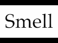 Understanding Smell