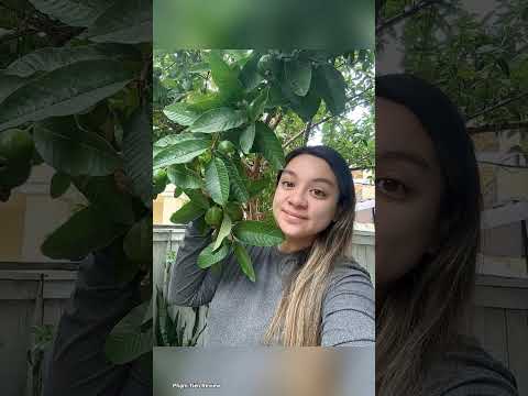 Wendy Phạm con gái cố nghệ sĩ Phi Nhung " Thương Mẹ"