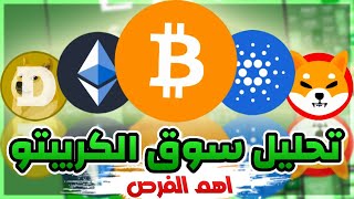هل حان وقت ارتفاع العملات الرقمية ؟
