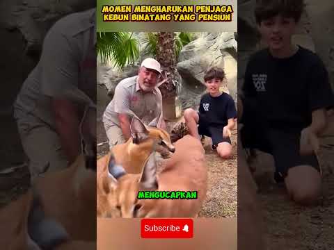 HEARTWARMING Moments Between Zookeeper and Zoo Animals