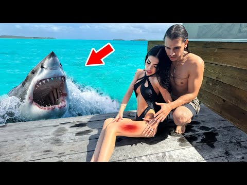 My Wife Got ATTACKED By A Shark!