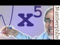 Understanding Algebra and Polynomial Equations