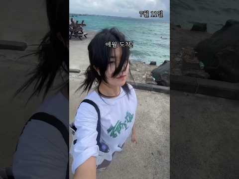시켜줘, 명예 제주도민