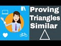 Triangle Similarity Postulates