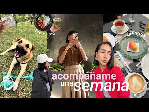 1 semana en mi vida | adopté a un perrito, trabajo, rutina diaria