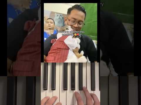It’s a Wednesday and kittyo just holding his toy #piano #shorts #explore