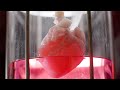 Stem Cell Research and Heart Regeneration